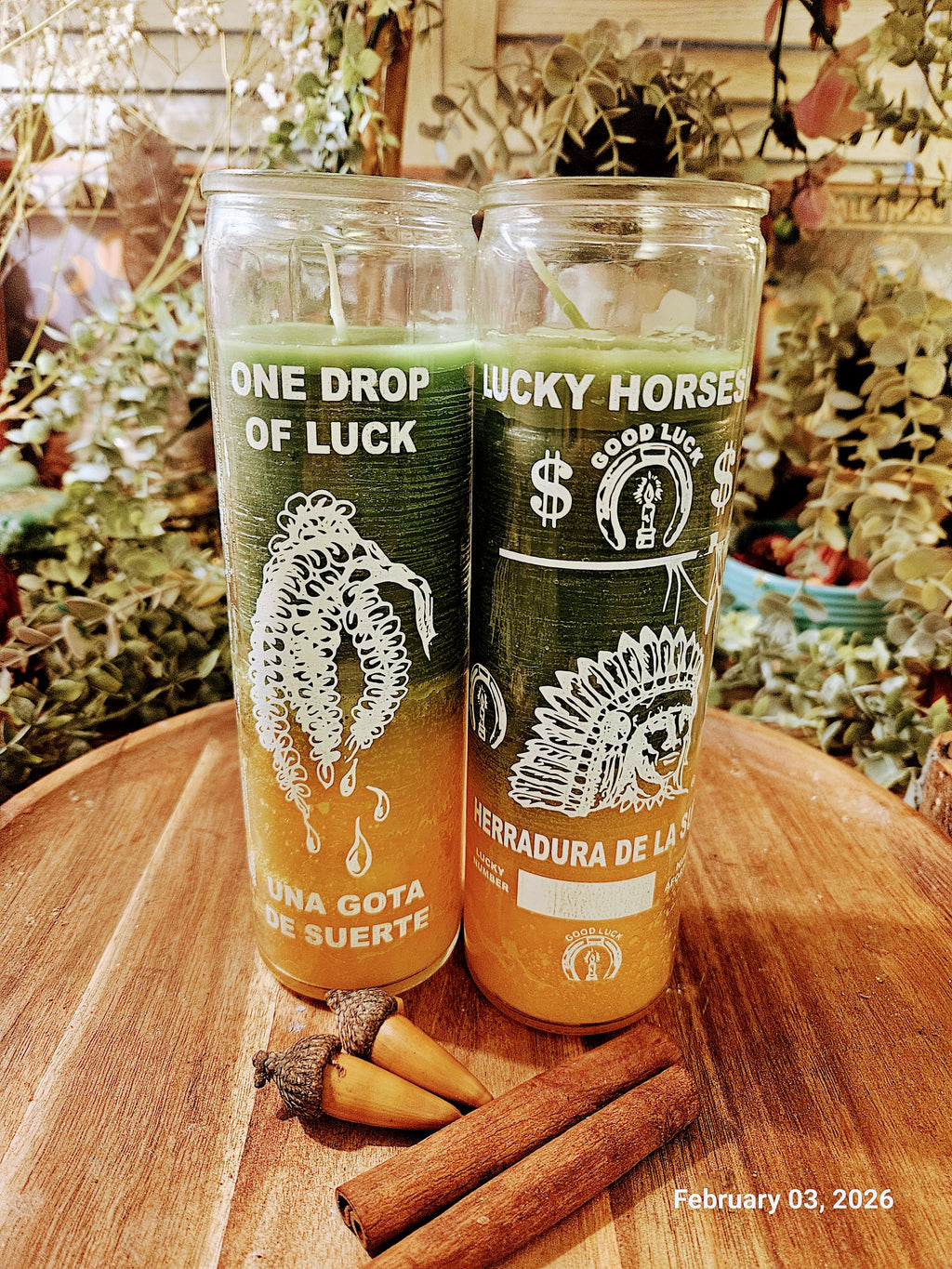 7-Day Horseshoe Fixed Candle Ritual (Good Fortune • Health • Money • Overall Blessings)